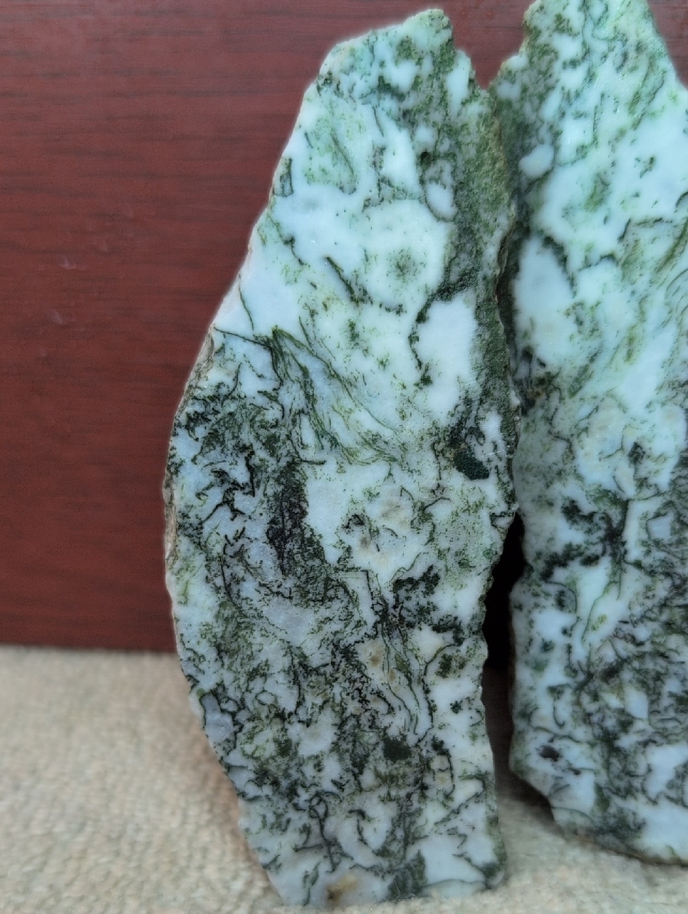 Tree Agate - Picture 2 of 7